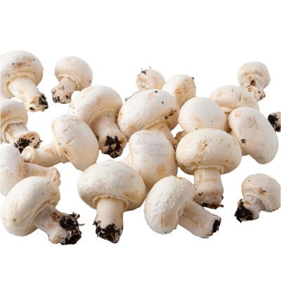 Шампиньоны свежие 500 г - купить в Водозерье